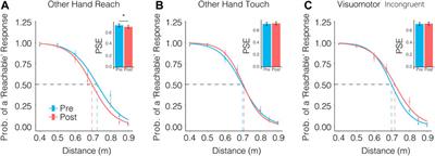 Follow Your Nose: Extended Arm Reach After Pinocchio Illusion in Virtual Reality